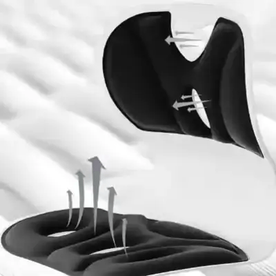 Asiento Ergonómico con Soporte Lumbar😮‍💨