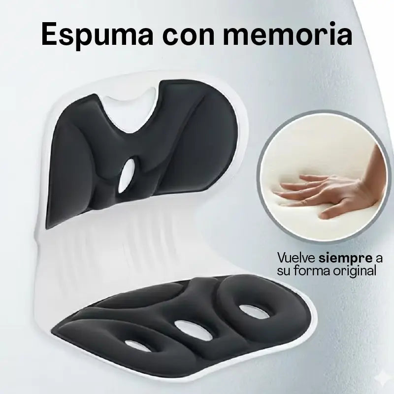 Asiento Ergonómico con Soporte Lumbar😮‍💨